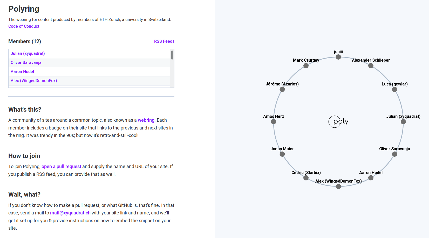 Screenshot of the Polyring website